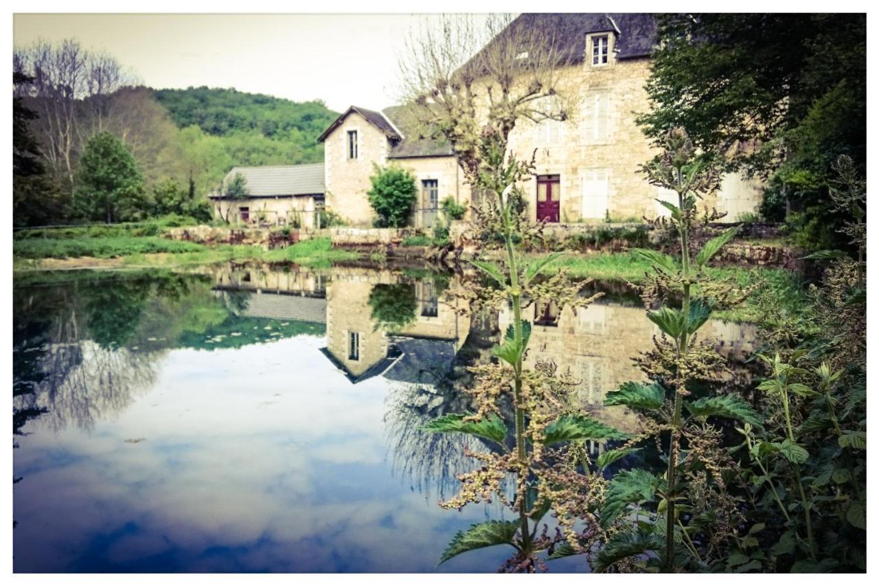 O Reve De Gabriel Bed & Breakfast Saint-Amand-de-Coly Exterior photo