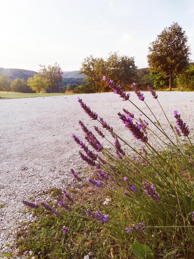 O Reve De Gabriel Bed & Breakfast Saint-Amand-de-Coly Exterior photo